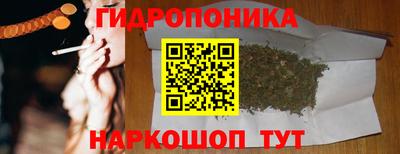 мяу мяу мука Азнакаево