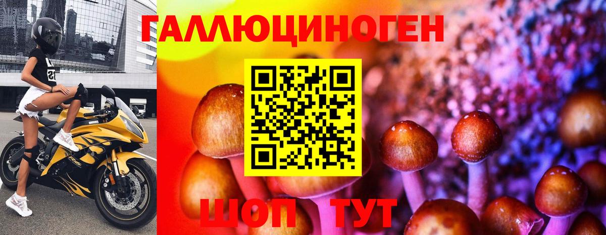 Псилоцибиновые грибы прущие грибы Алатырь