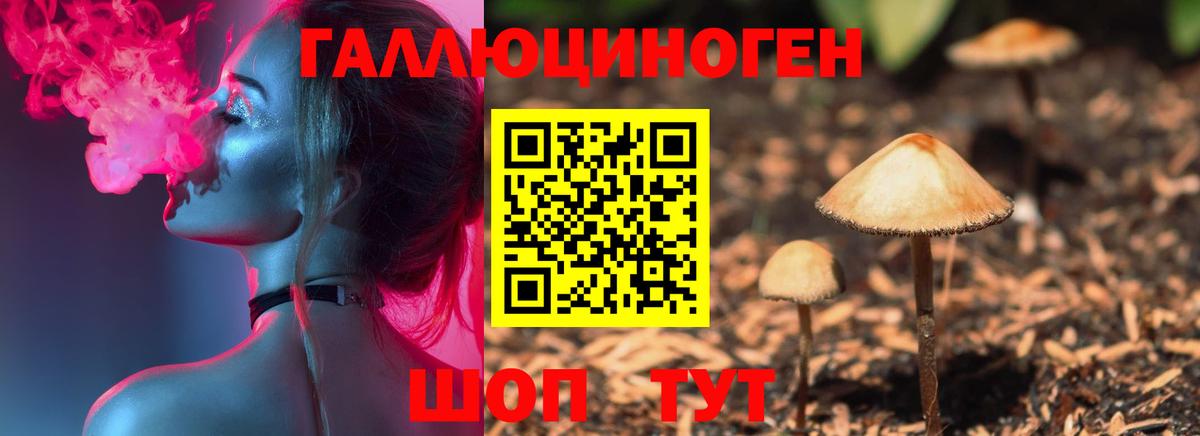 Галлюциногенные грибы MAGIC MUSHROOMS  Псилоцибиновые грибы прущие грибы  Алатырь  Вход с VPN 
